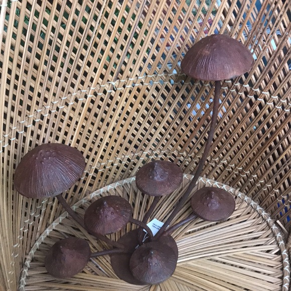 Anthropologie Whimsical Rustic Patina Iron Multiple Mushroom Tabletop Decor 🍄 - Picture 5 of 16